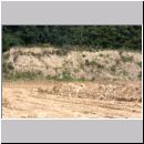 Harpactus lunatus - Grabwespe w01c - OS-Hollage Lehmkuhle.jpg